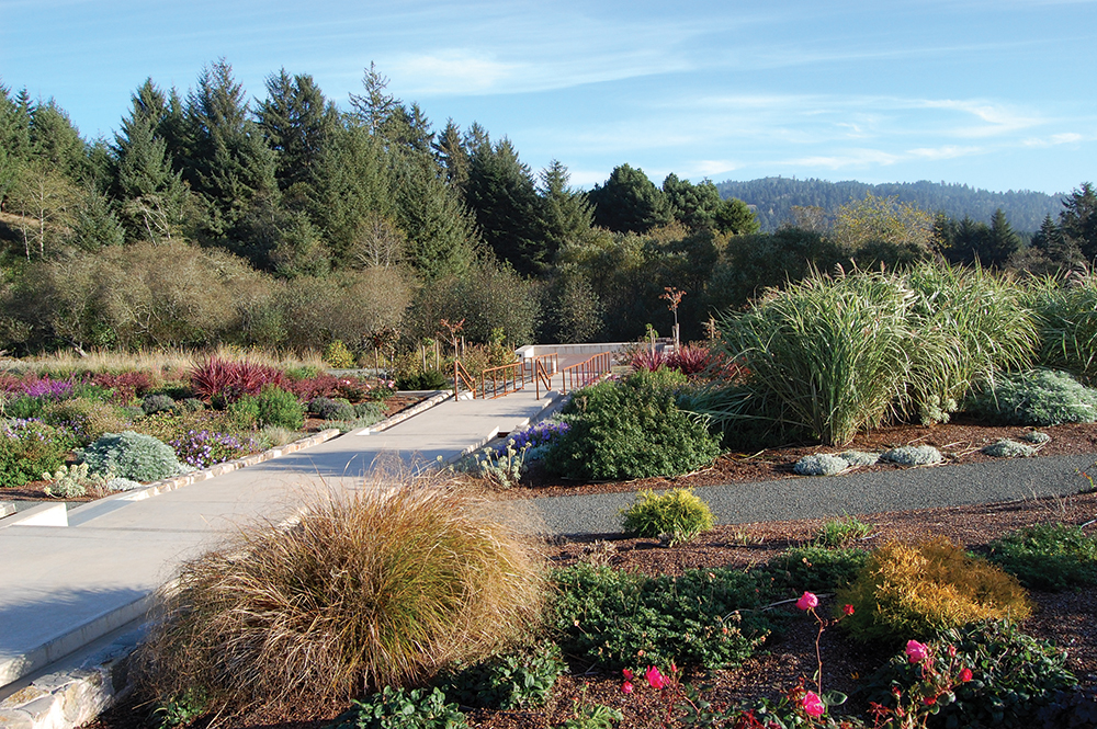 Humboldt Botanical Gardens photo by Denise Comiskey