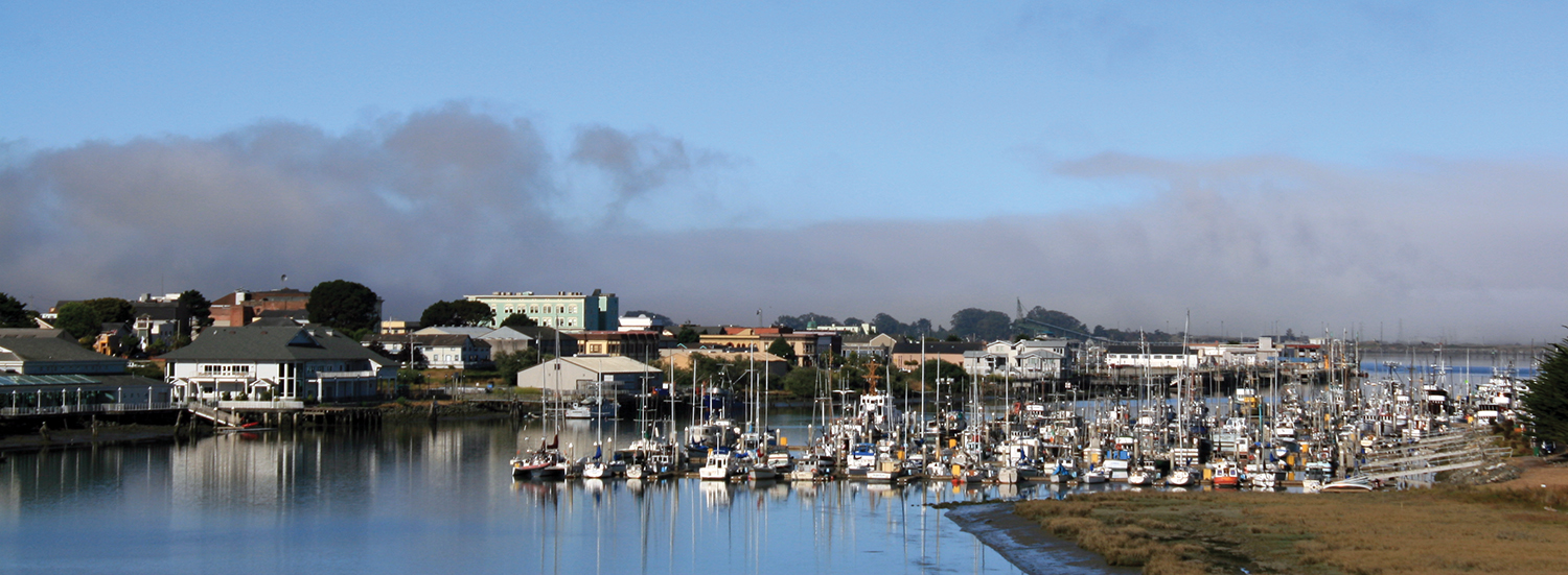 Humboldt Bay Harbor photo by Steve Hammons