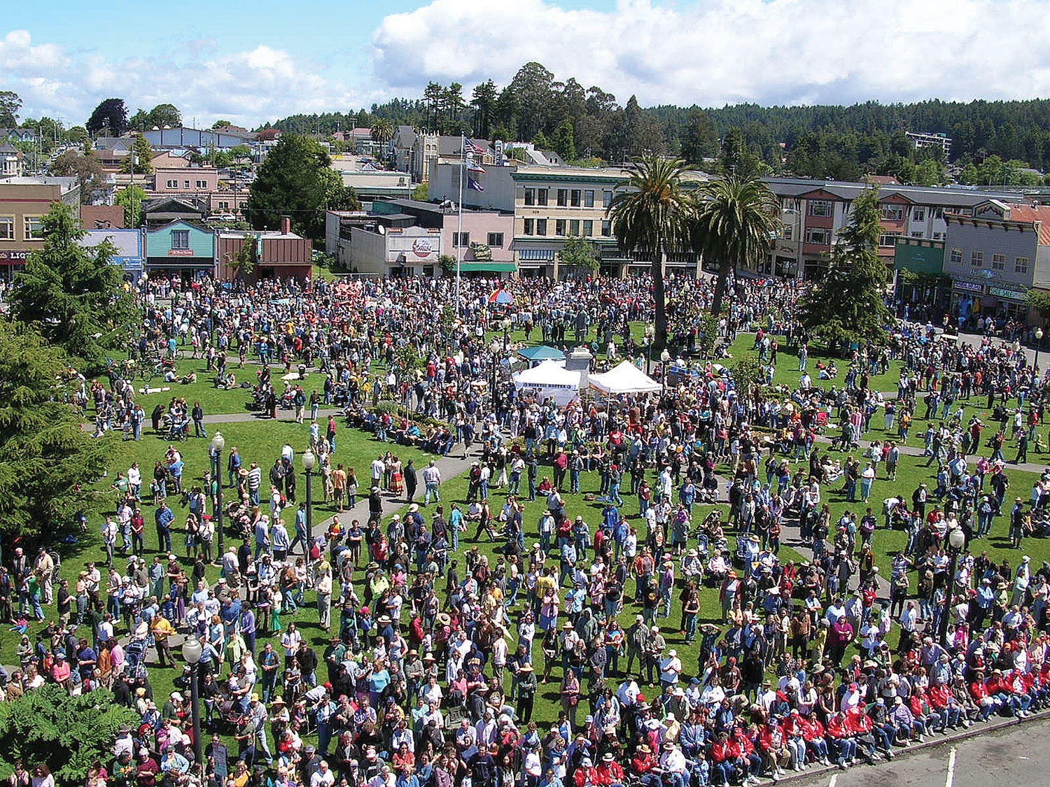 Kinetic Grand Championship Arcata Plaza photo by Tracy McCormack